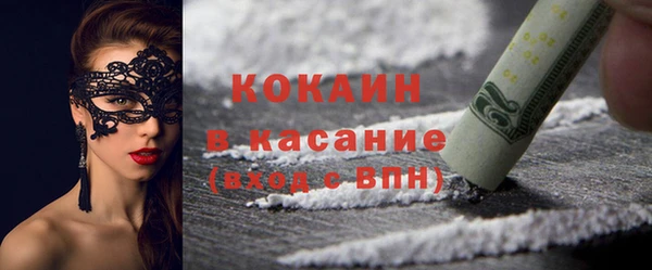 гидра Вязьма