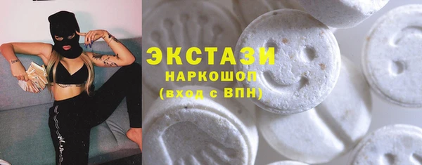 гидра Вязьма