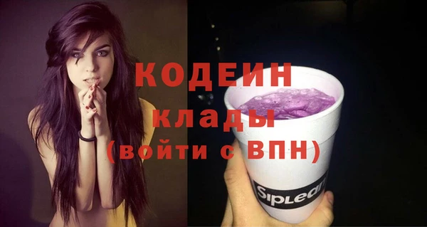 гидра Вязьма