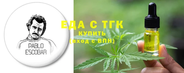 гидра Вязьма
