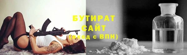гидра Вязьма