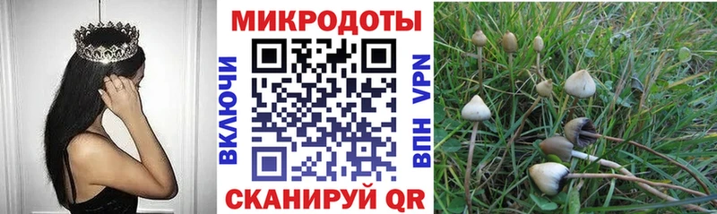 купить закладку  Новошахтинск  мориарти Telegram  Псилоцибиновые грибы MAGIC MUSHROOMS 